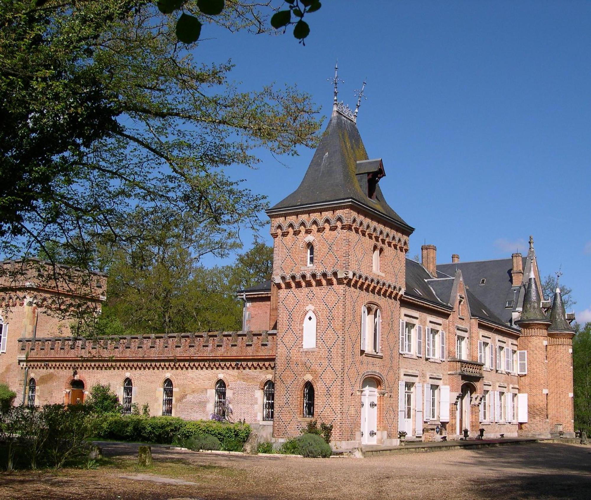 Hostellerie Du Chateau Les Muids La Ferté-Saint-Aubin Exteriér fotografie
