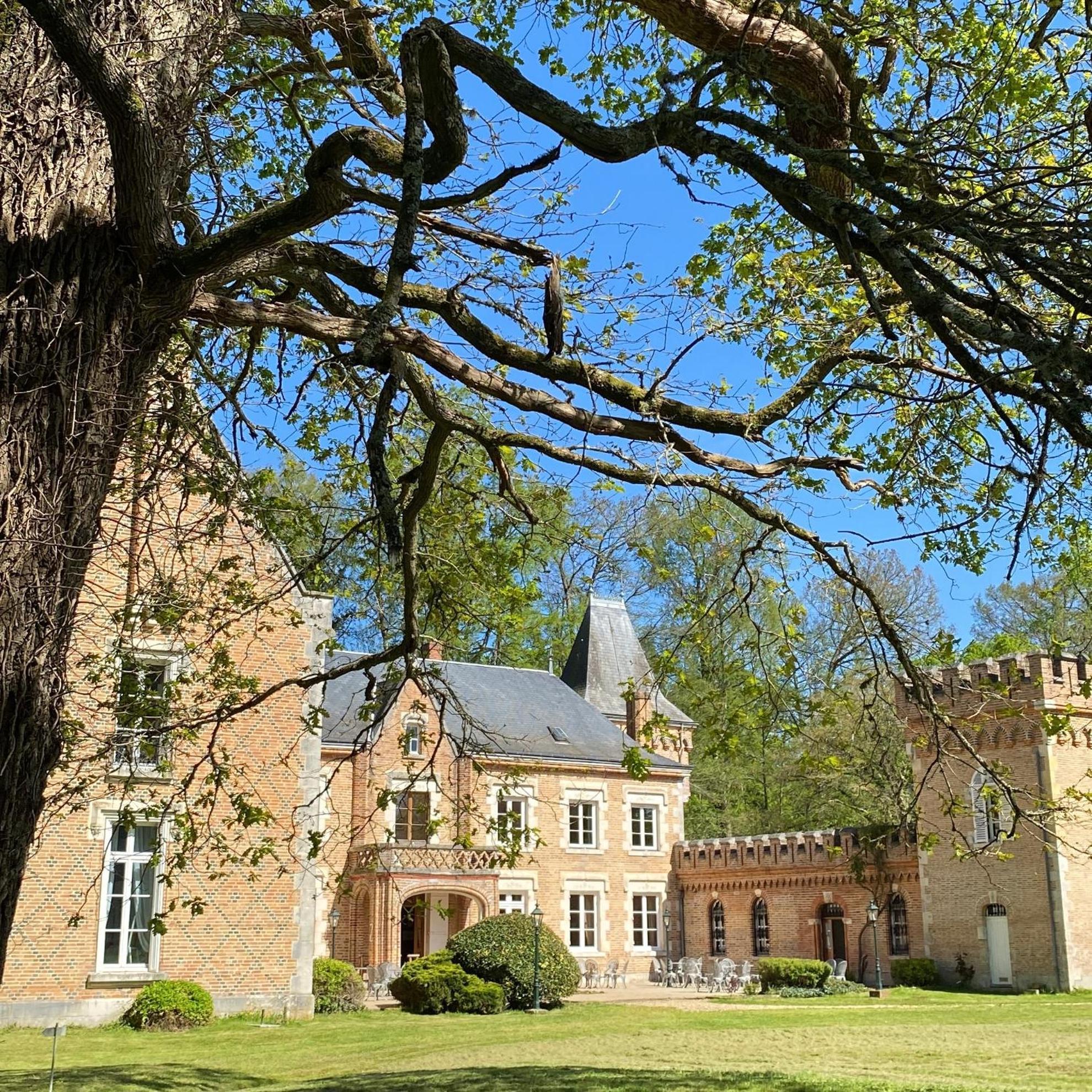 Hostellerie Du Chateau Les Muids La Ferté-Saint-Aubin Exteriér fotografie