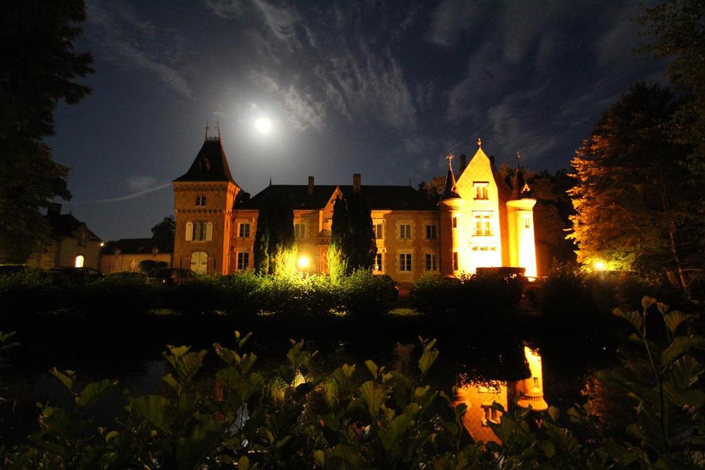 Hostellerie Du Chateau Les Muids La Ferté-Saint-Aubin Exteriér fotografie